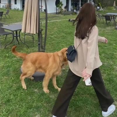 爱情不设限